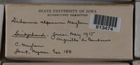 Image Associated With the Occurence